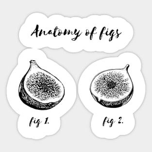 Anatomy of Figs Sticker